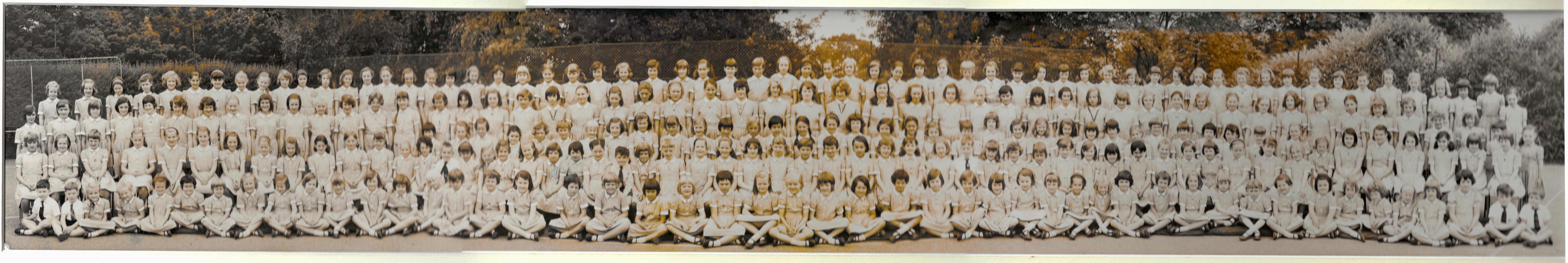 Whole School Photos Logo