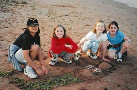 Year 5 Trip to Devon Logo