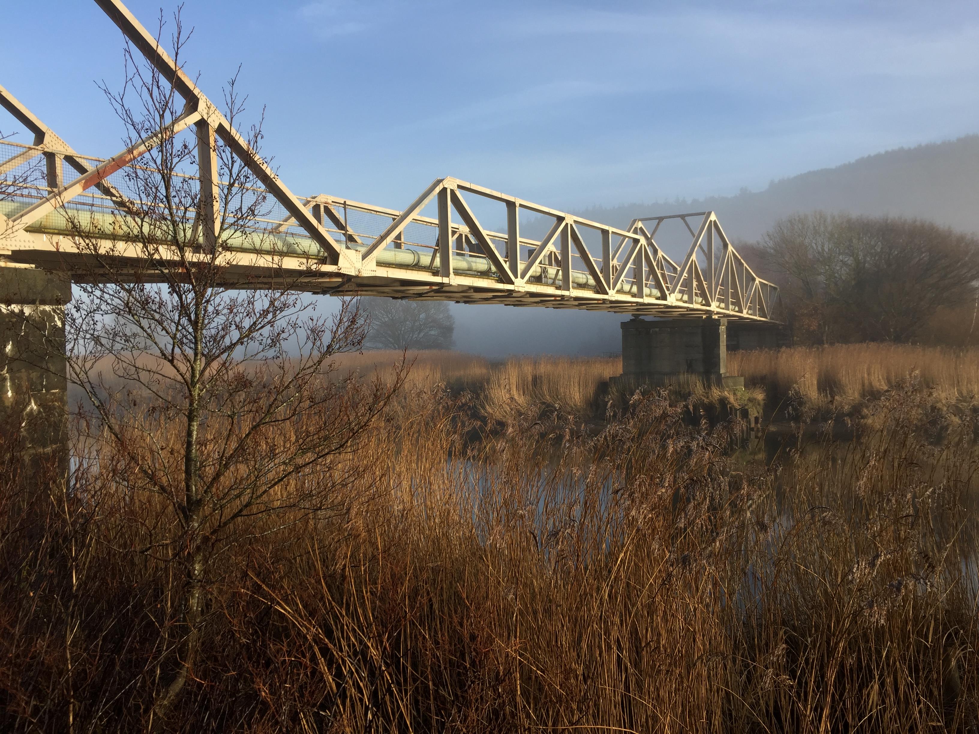 Dolgarrog Bridge Logo
