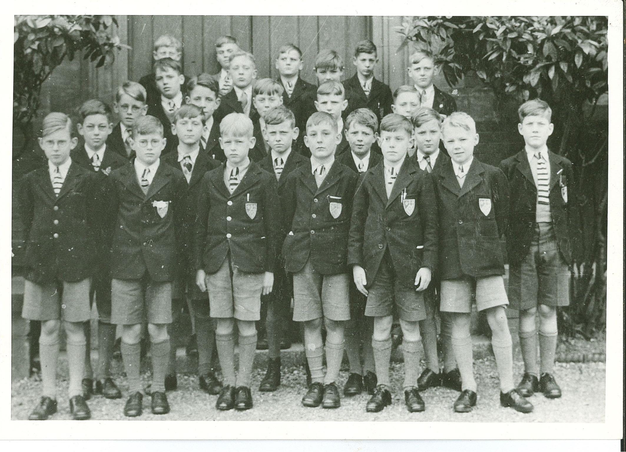 David Baines Collection Logo