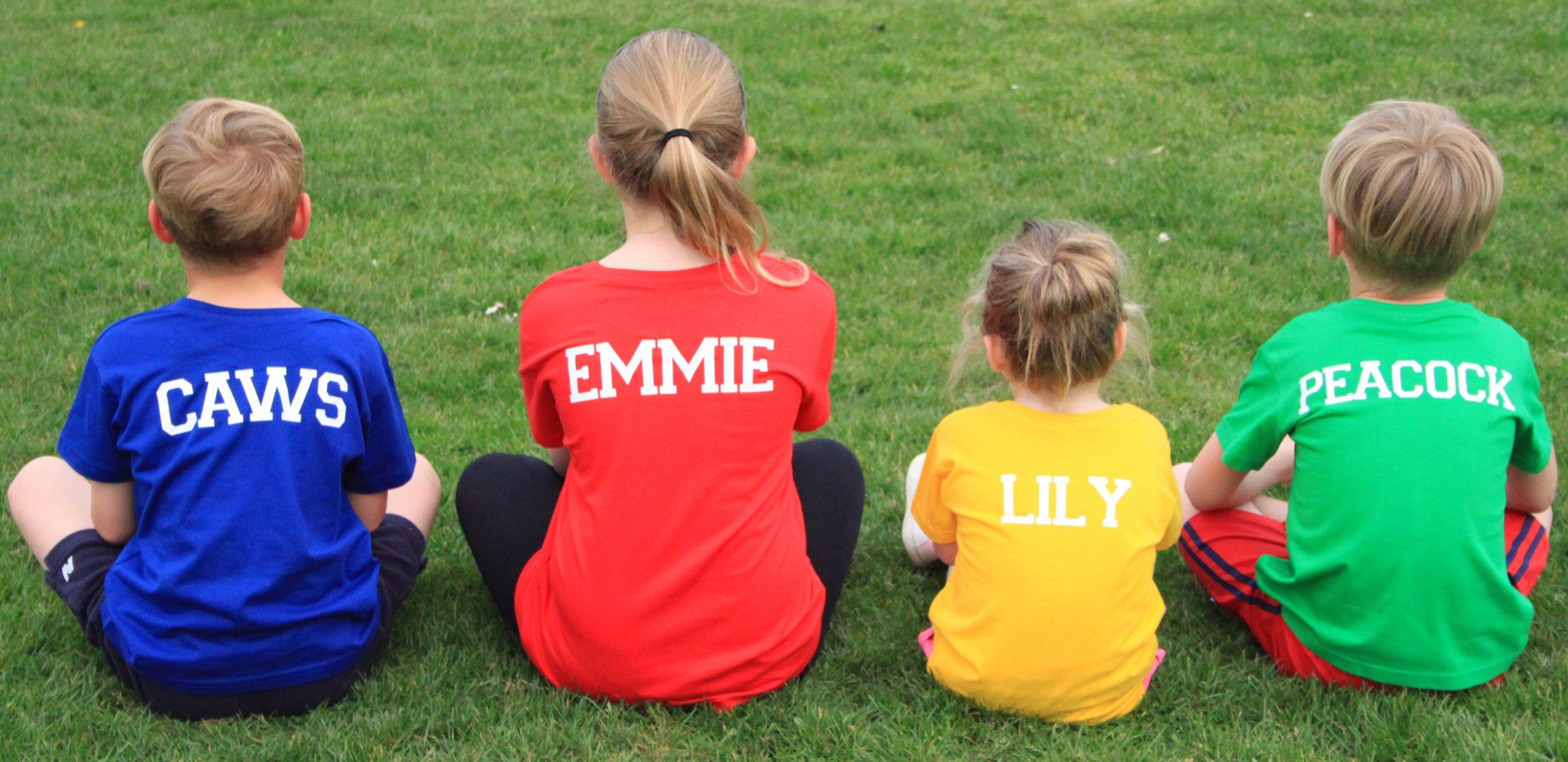 The School House System Logo