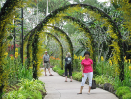 Singapore Orchid Paradise