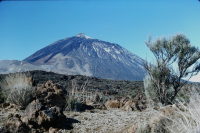 Teide