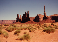 Sandstone Pillars